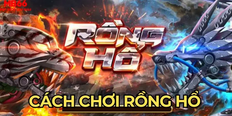 Cách Chơi Rồng Hổ Chuẩn Thần Bài Đánh Nhanh Thắng Gọn